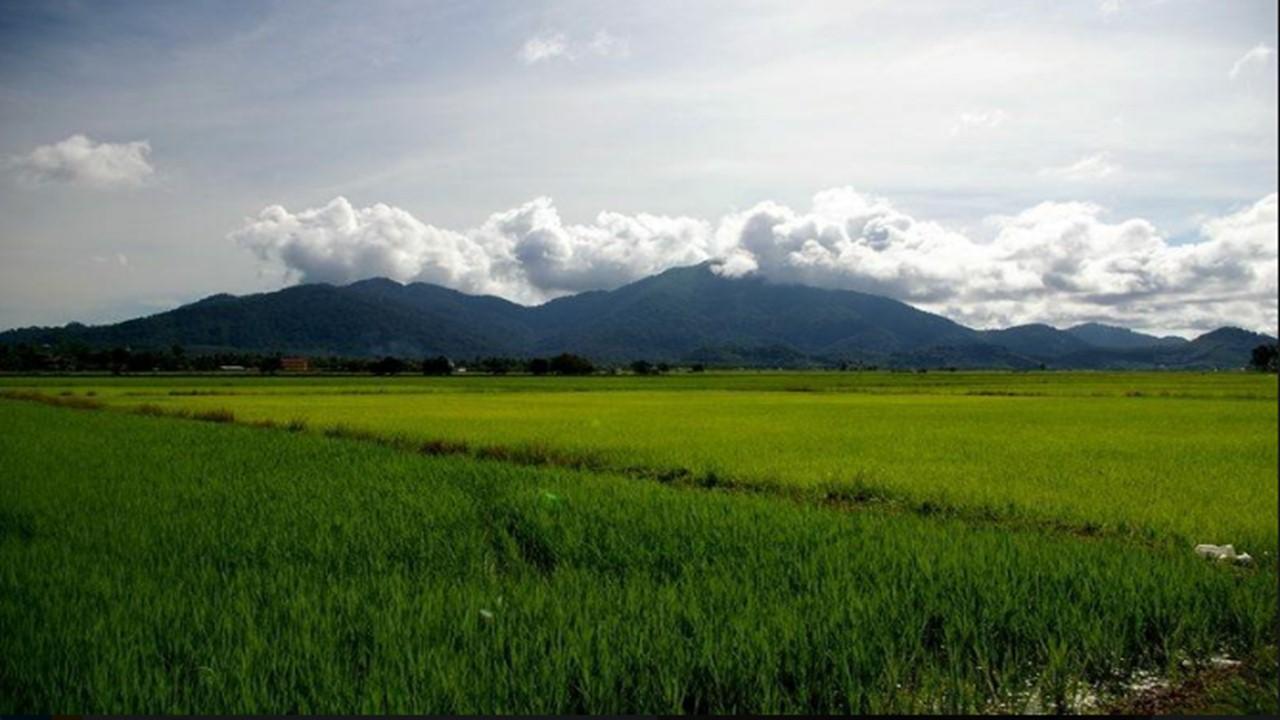 Barakah Homestay Alor Setar Exteriér fotografie